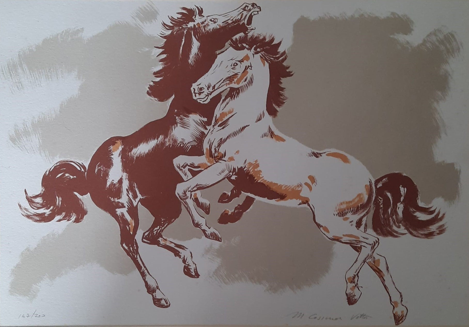 Cassarini - Caballos
