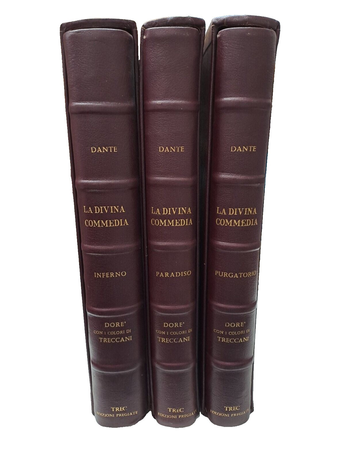 Divine Comedy - TREC