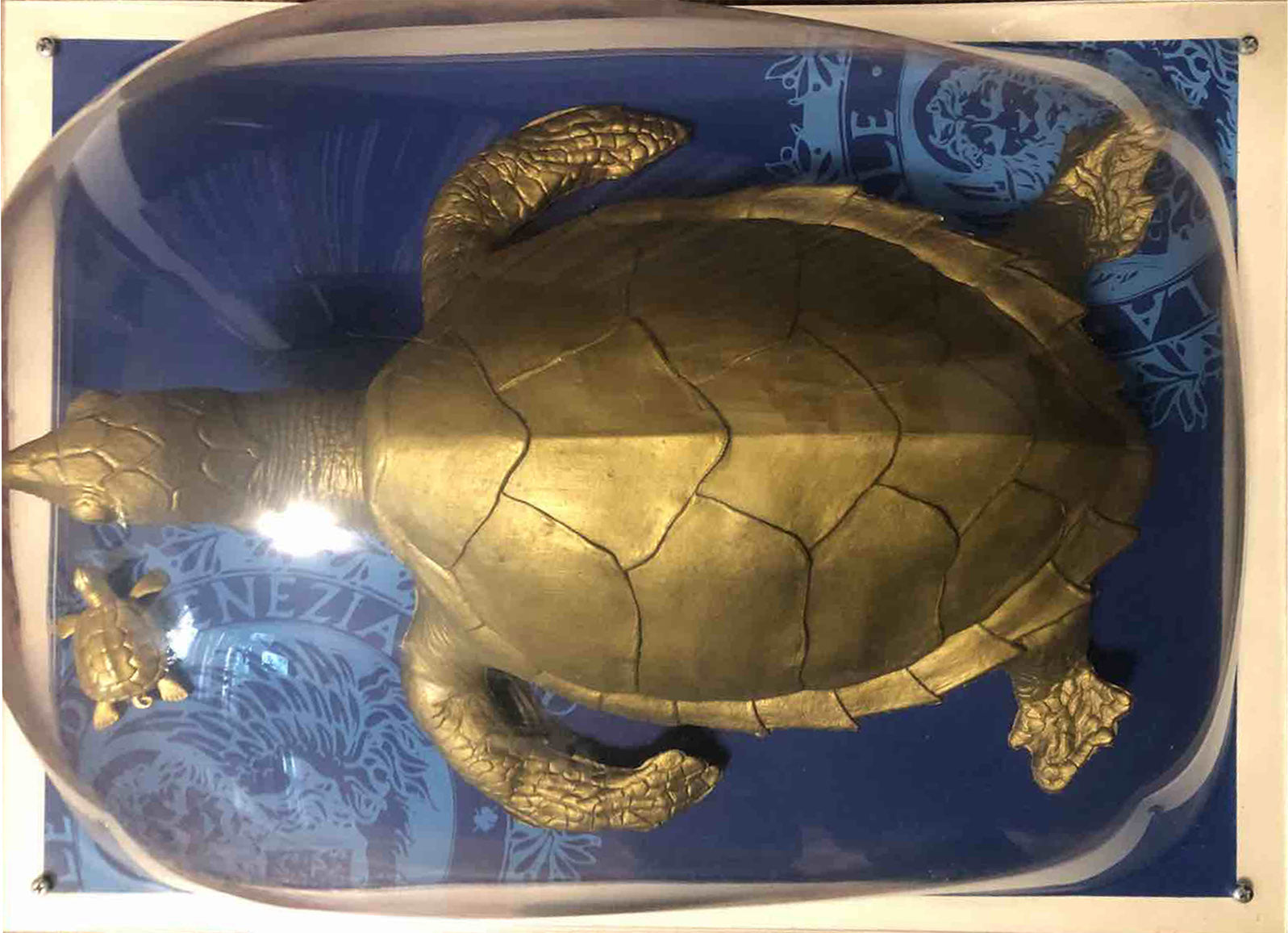 Cracking Art Group - SOS World, Turtles in Venice