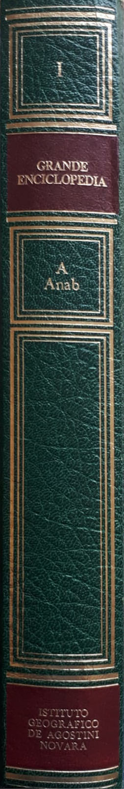 Grande dizionario enciclopedico - DeAgostini