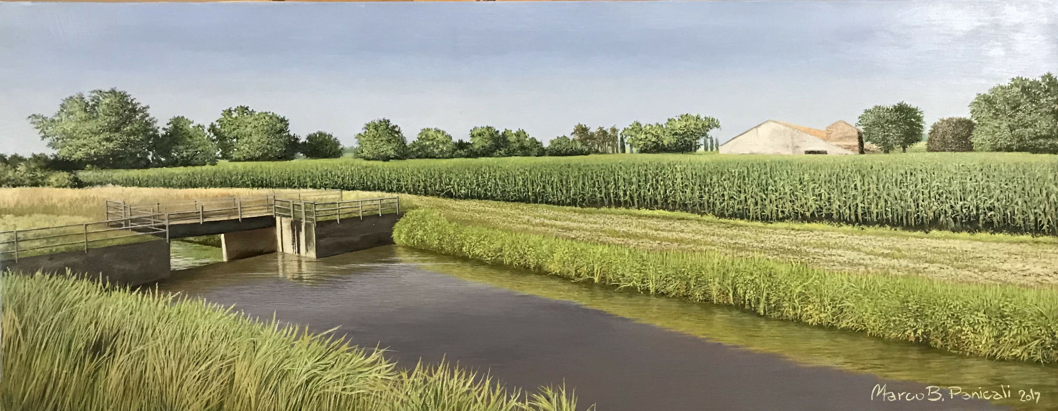 Un canale di campagna