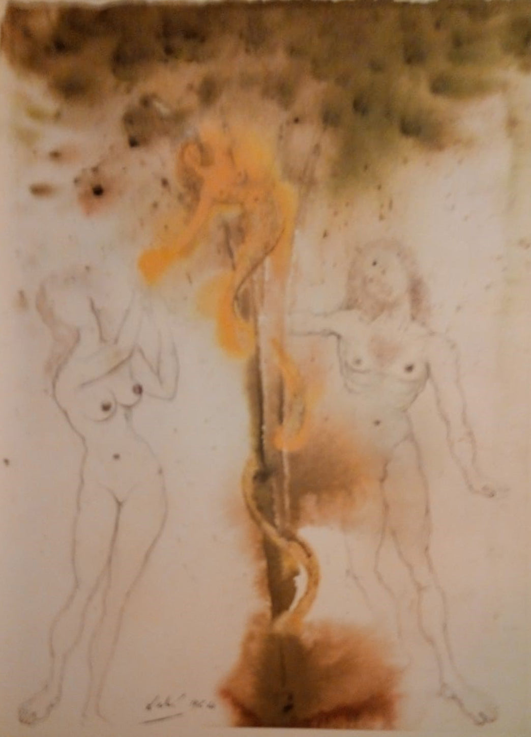 Salvador Dalì - Senza titolo