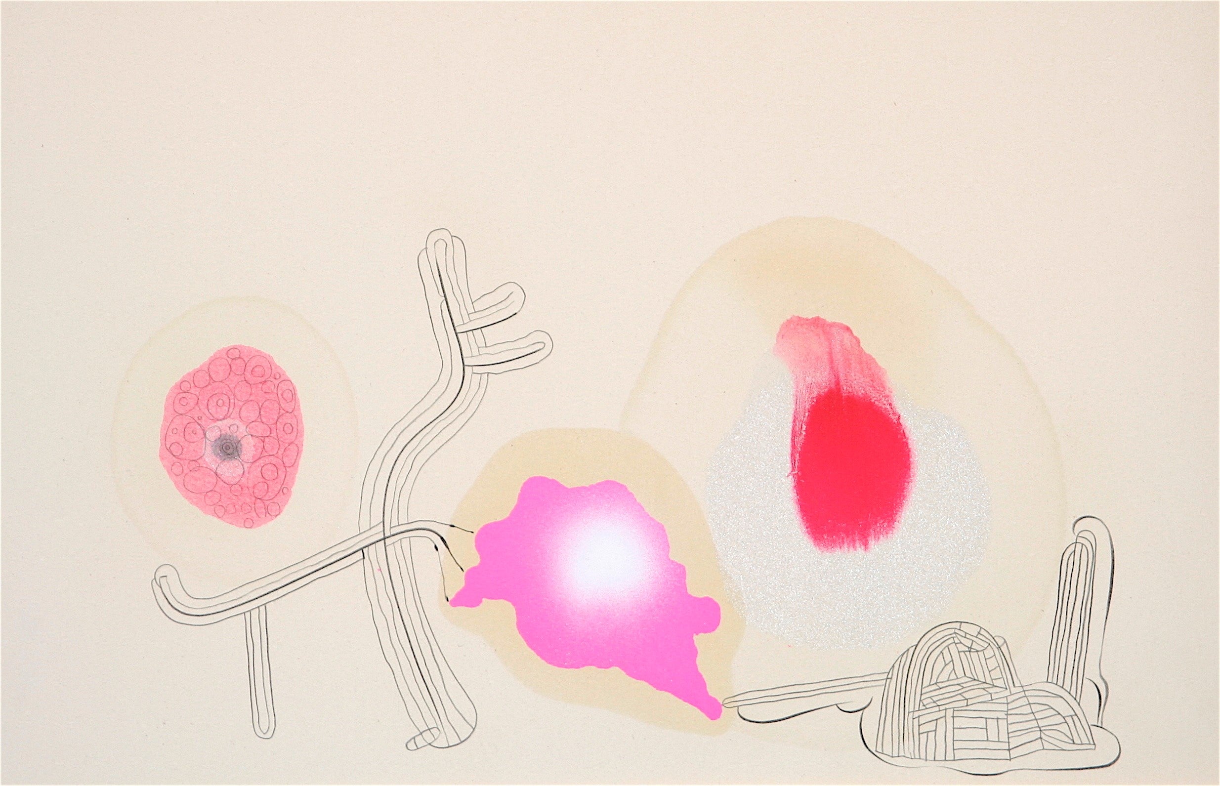 Mattia Di Rosa - Senza Titolo