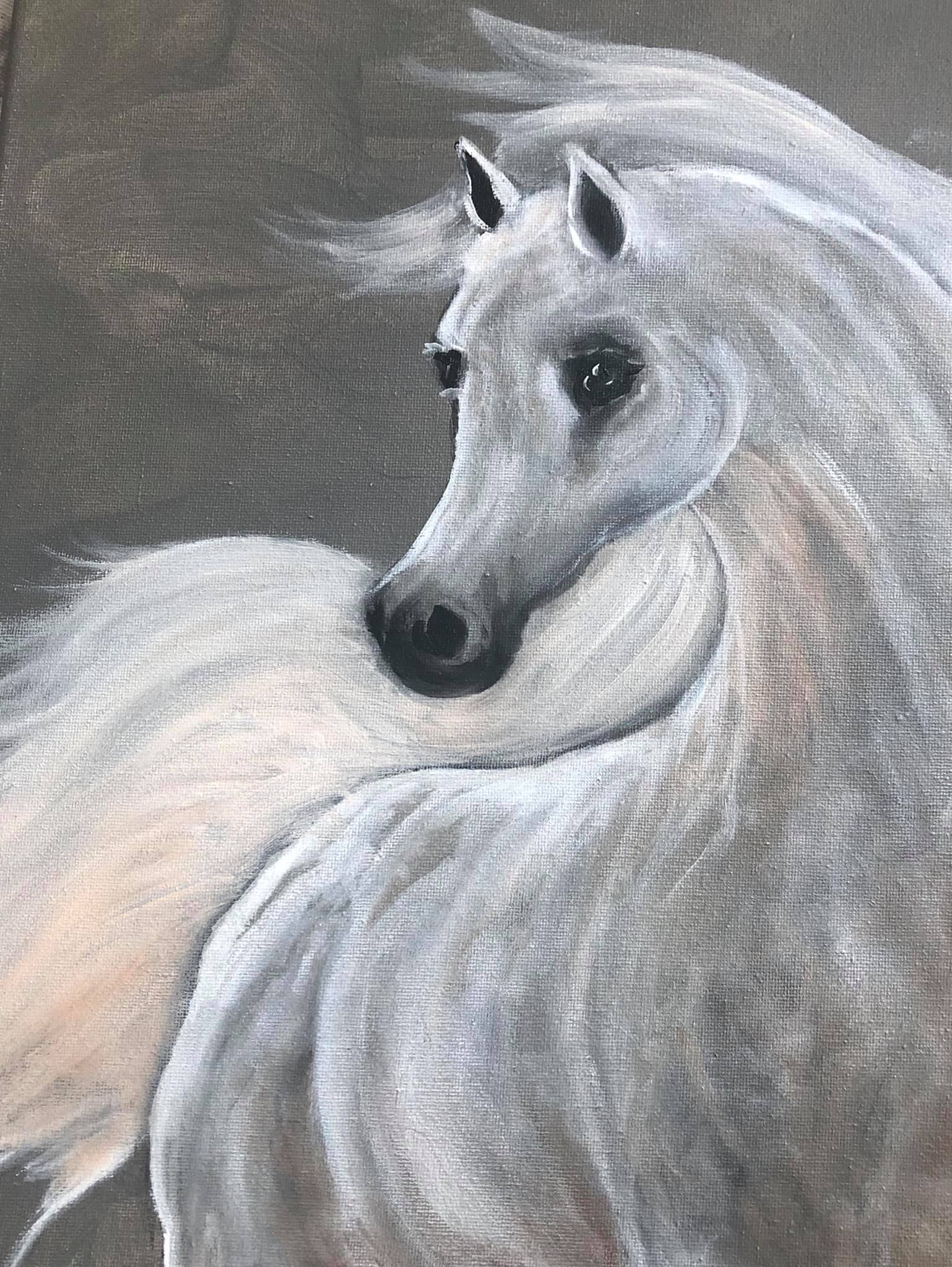 Eralda Pitto - Arabian White horse