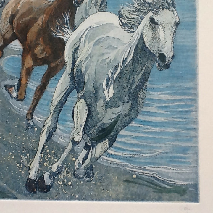 Cavalli in corsa sulla spiaggia