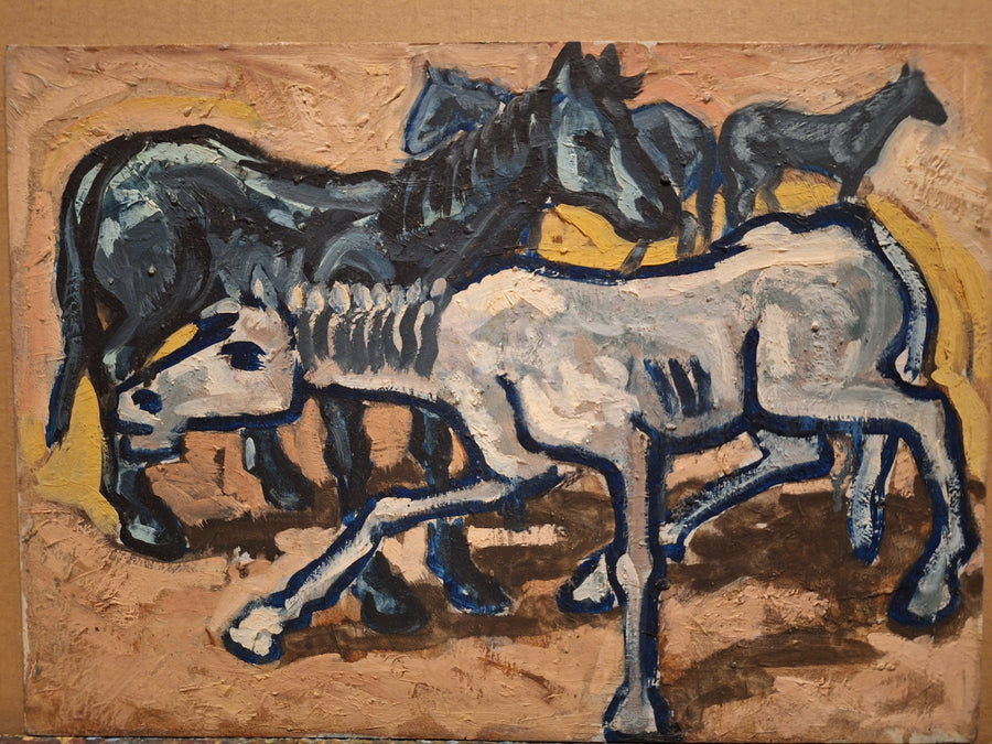 Cavallo bianco e cavalli neri