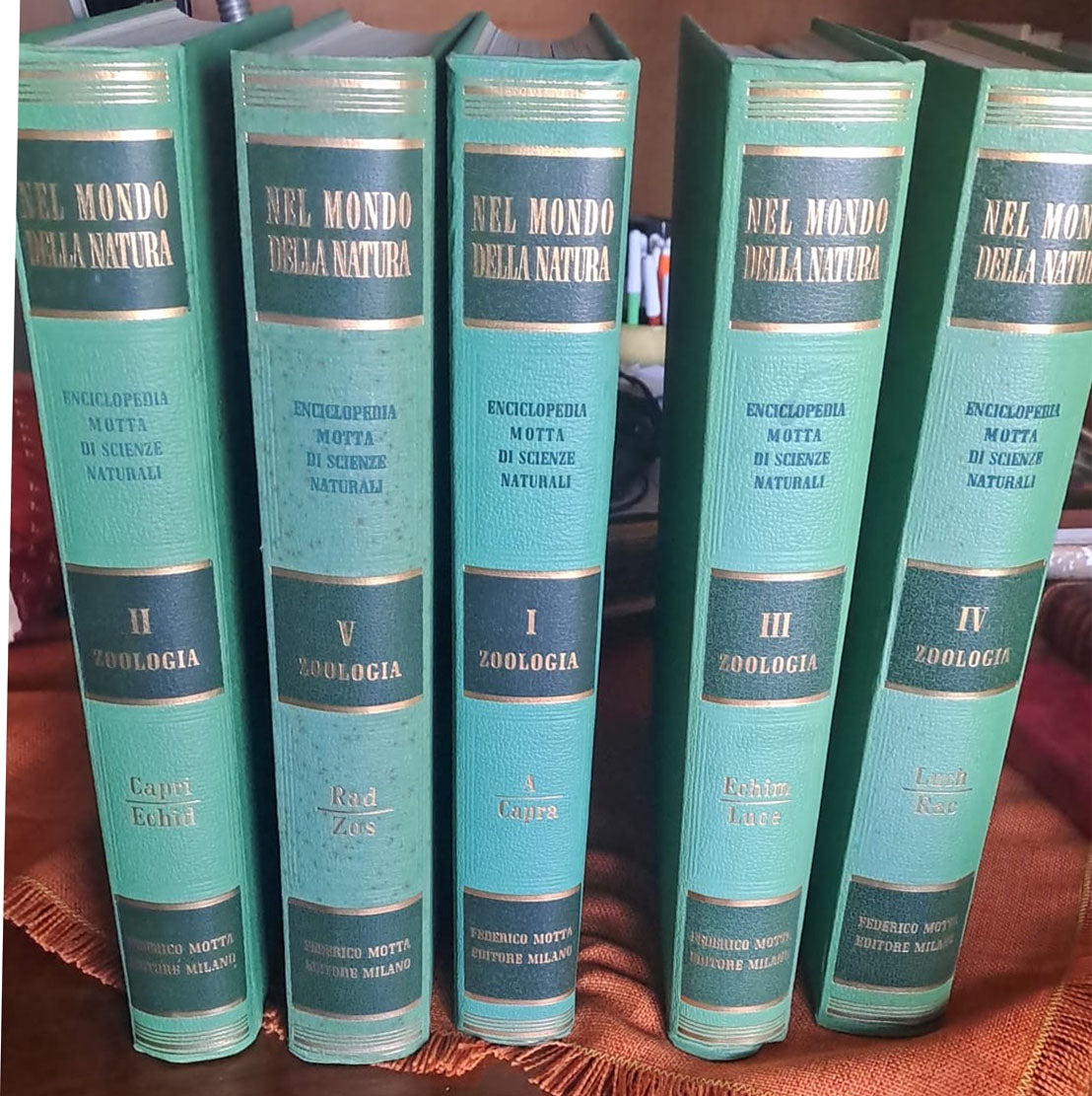 Nel mondo della natura - Motta editore