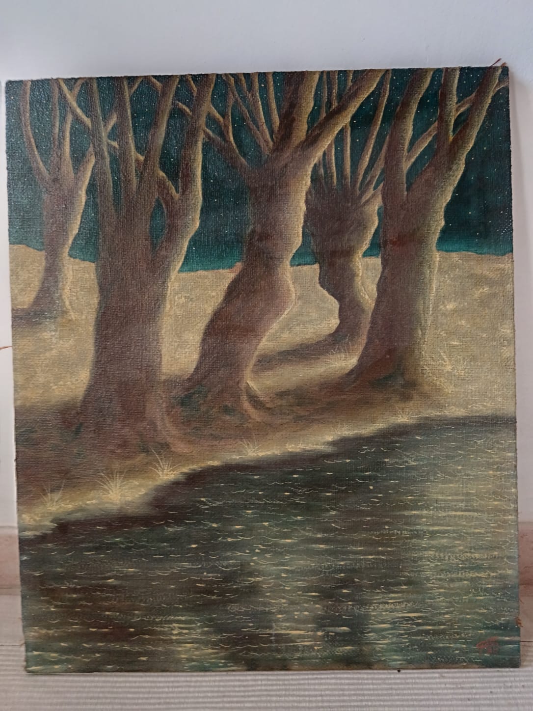 Il Riflesso del Silenzio