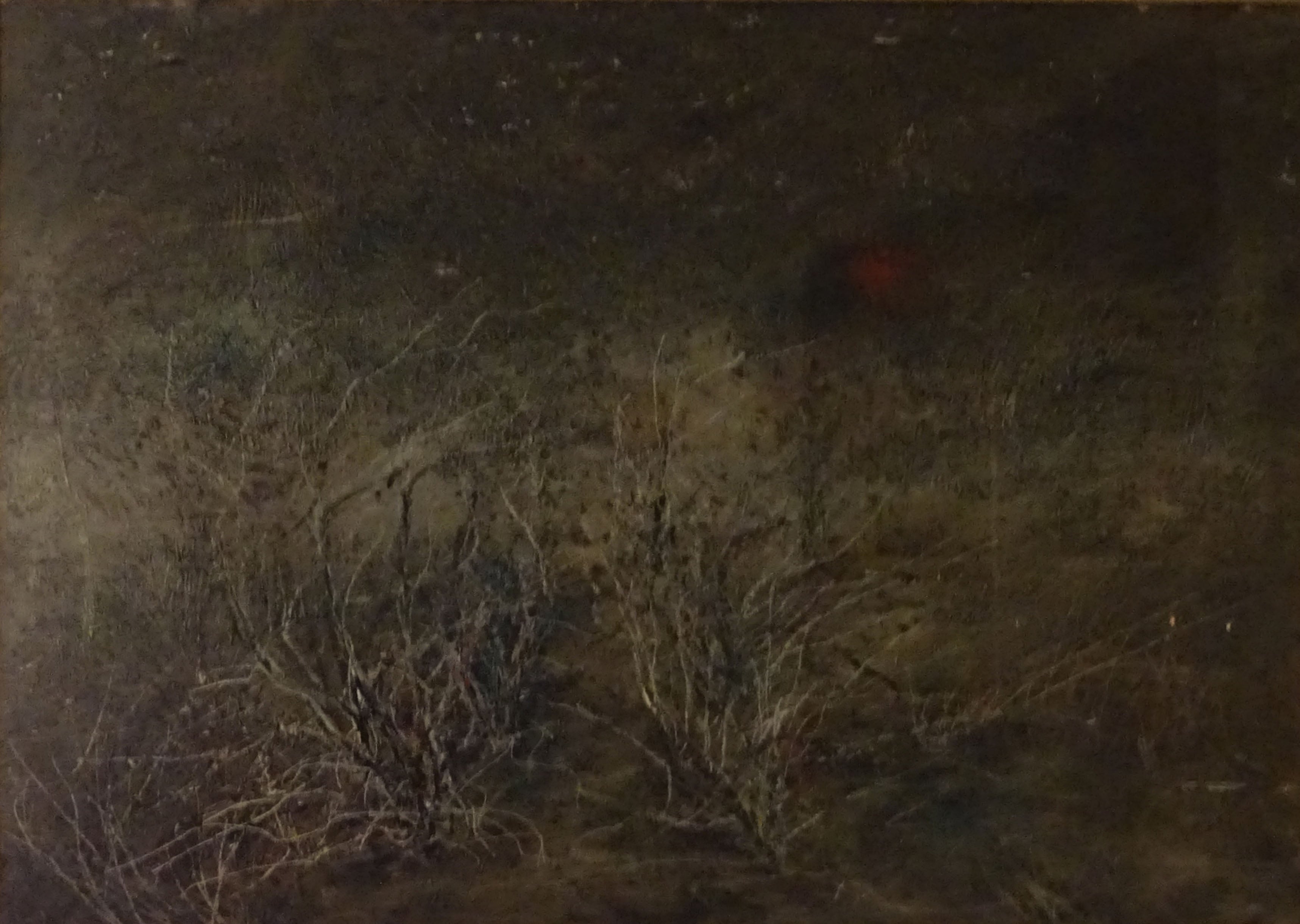 Antonio Manzoni - Sterpaglie