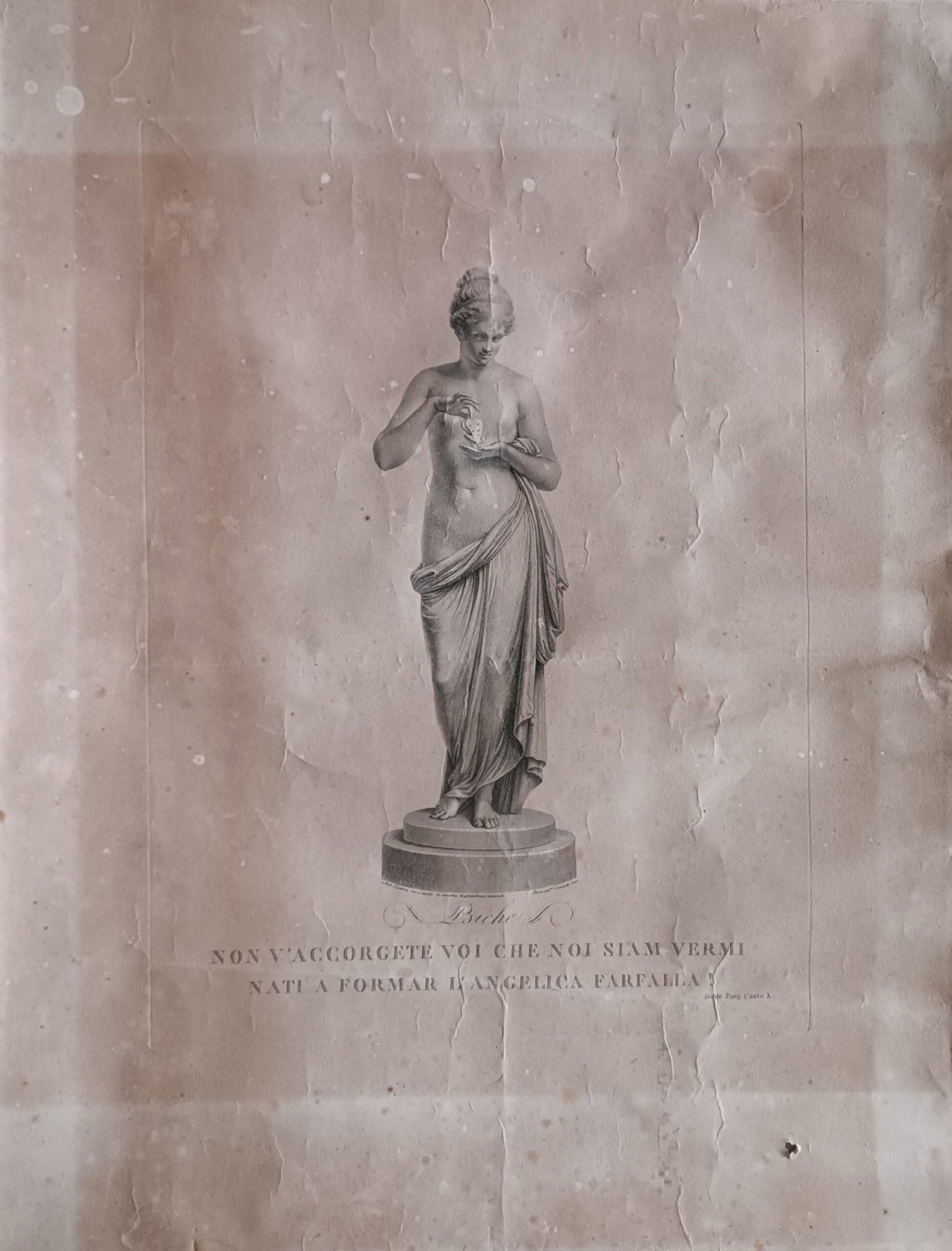 Bernardino Consorti - Psiche