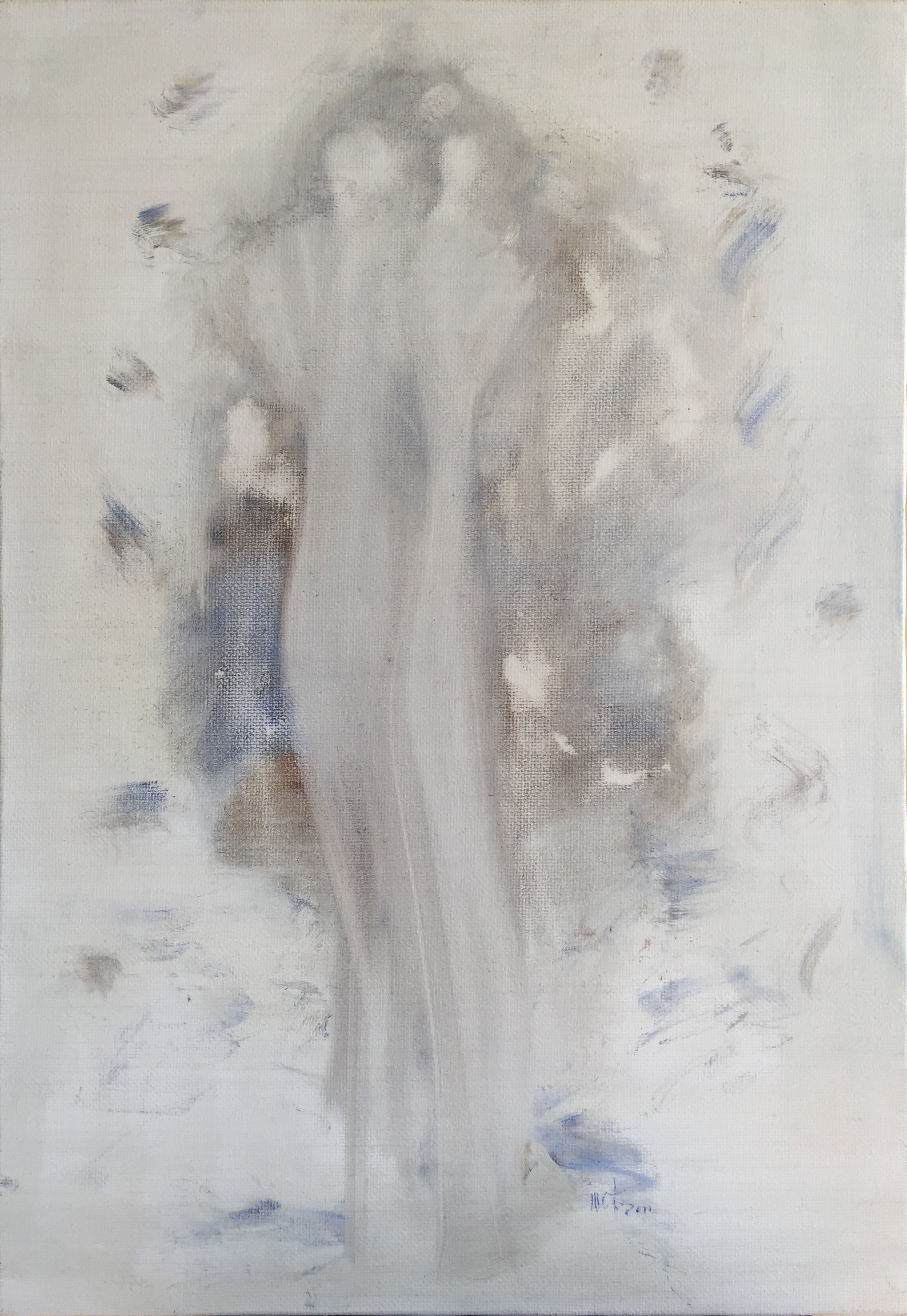 Maria Carla Turchetto - Anima