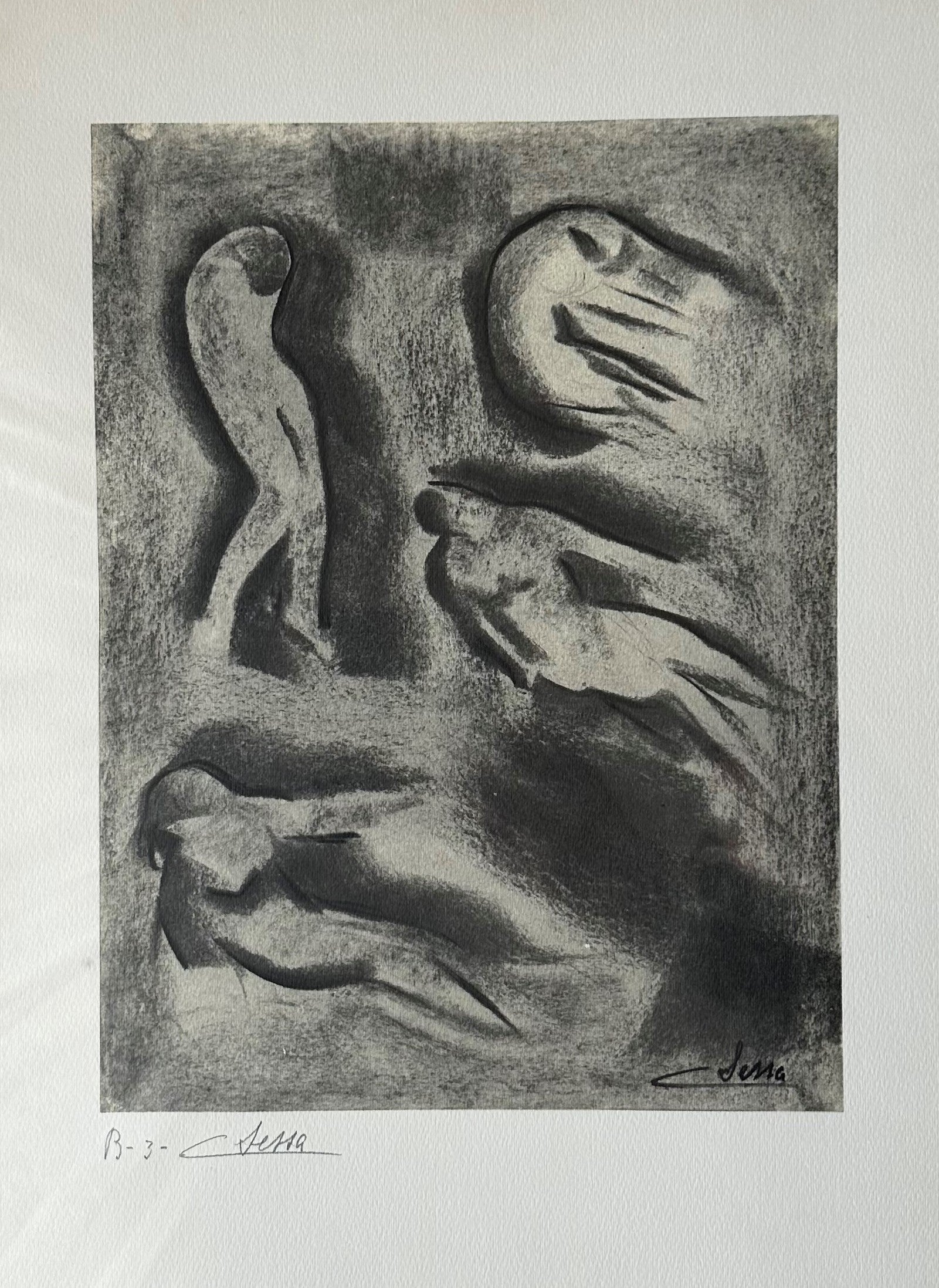 CARLO SESSA -STAMPA FIRMATA