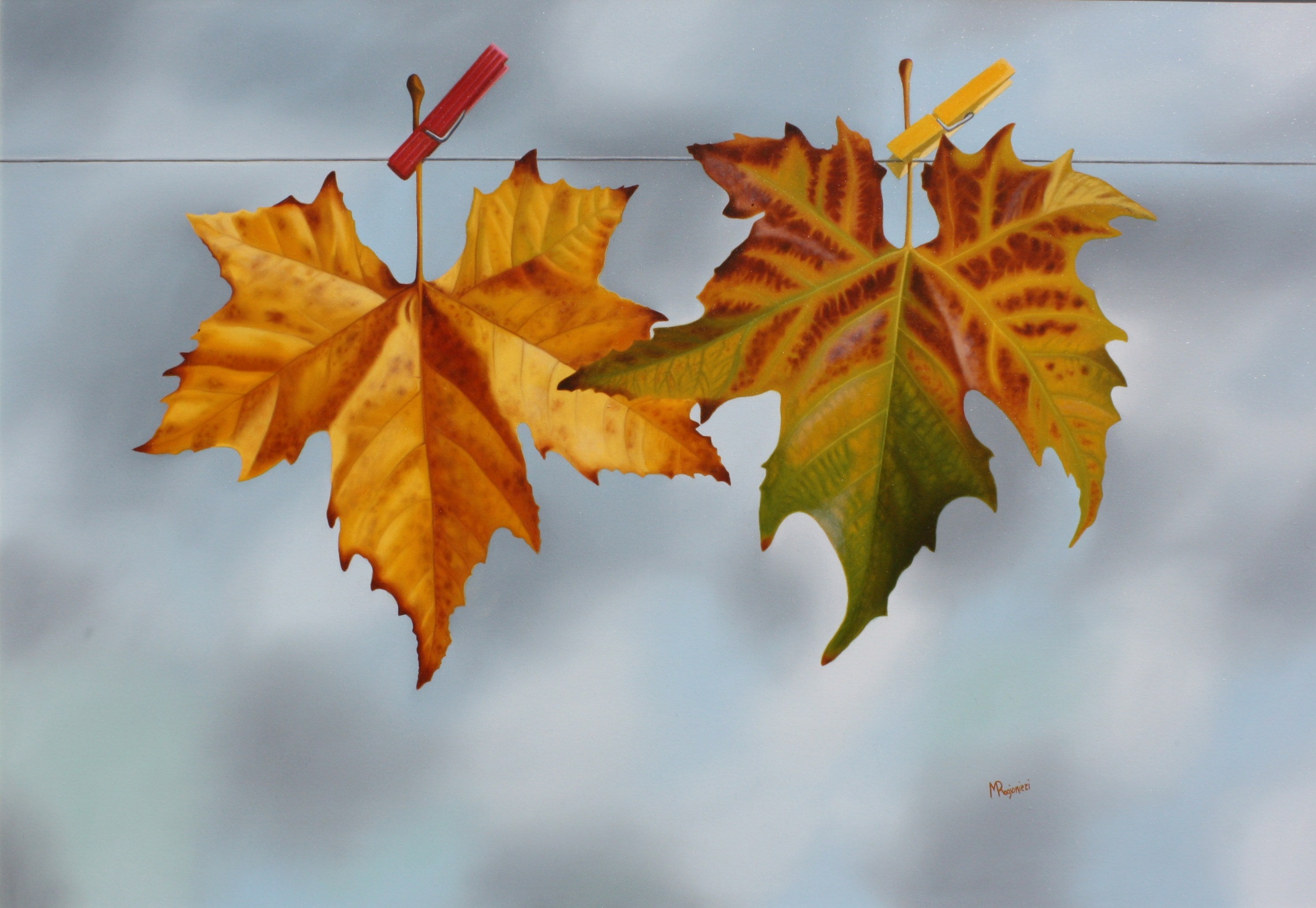 Massimo Accountants - Autumn