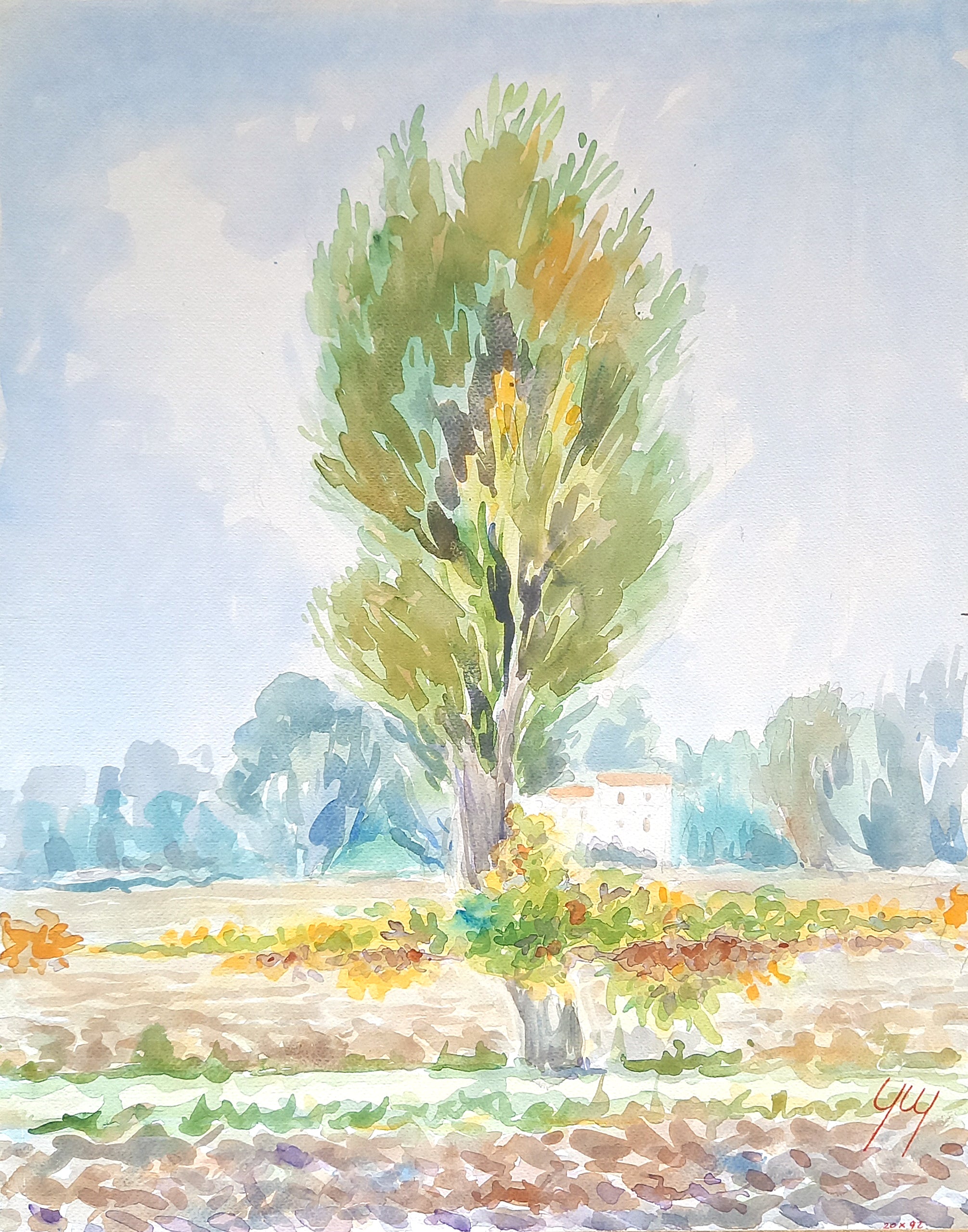 Giorgio Marinelli - In campagna