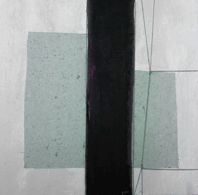 Vindigni Giovanna - Ali negate