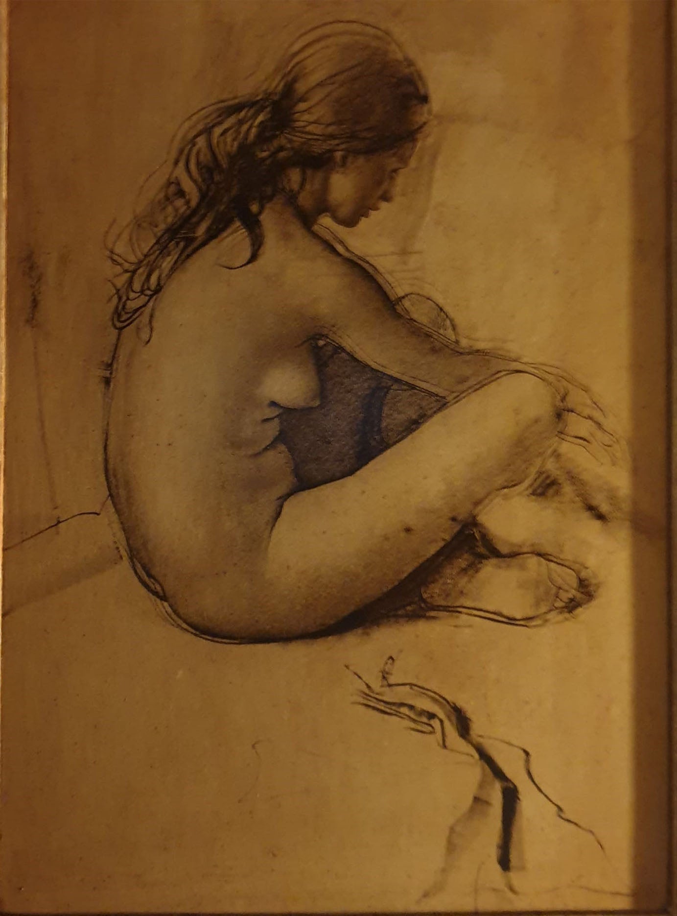Pietro Annigoni - Sin título