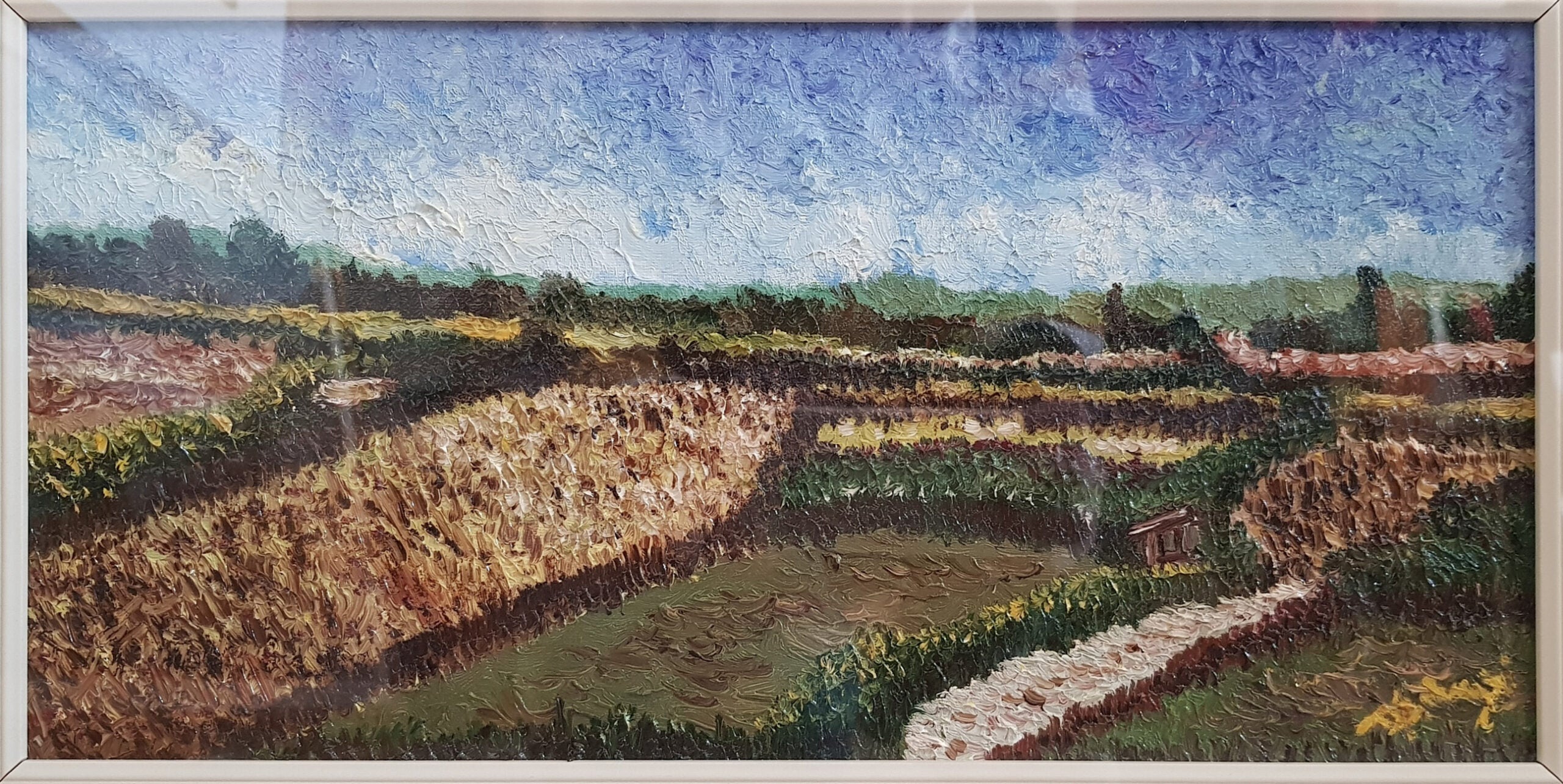 D. Ardegni - Untitled