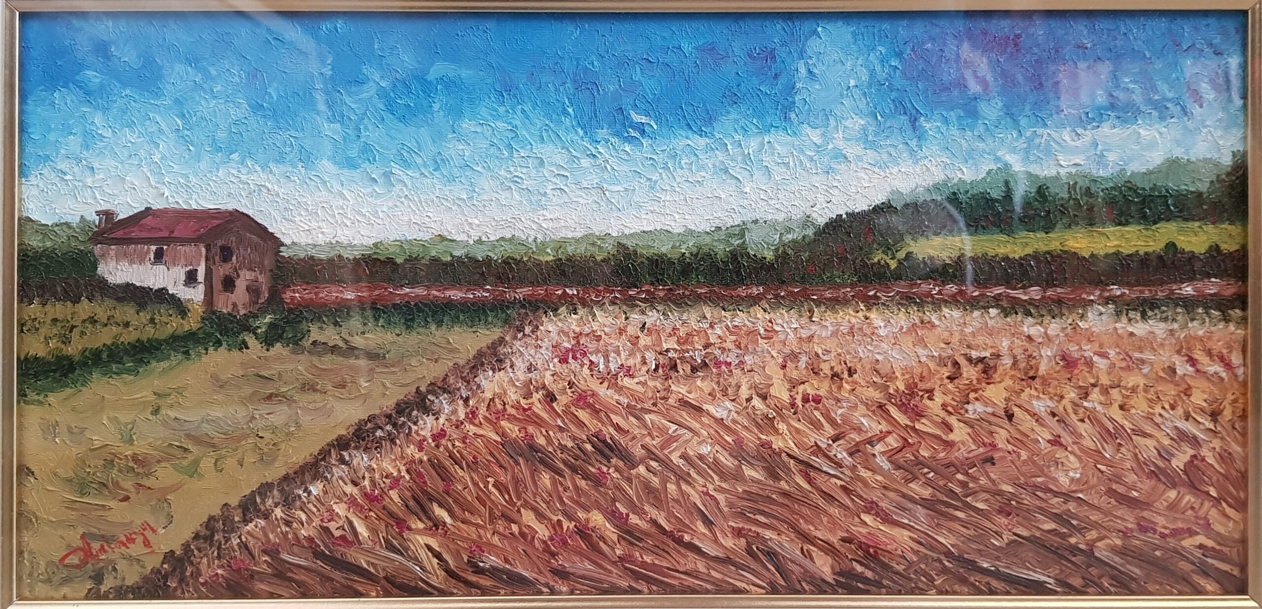 D. Ardegni - Untitled