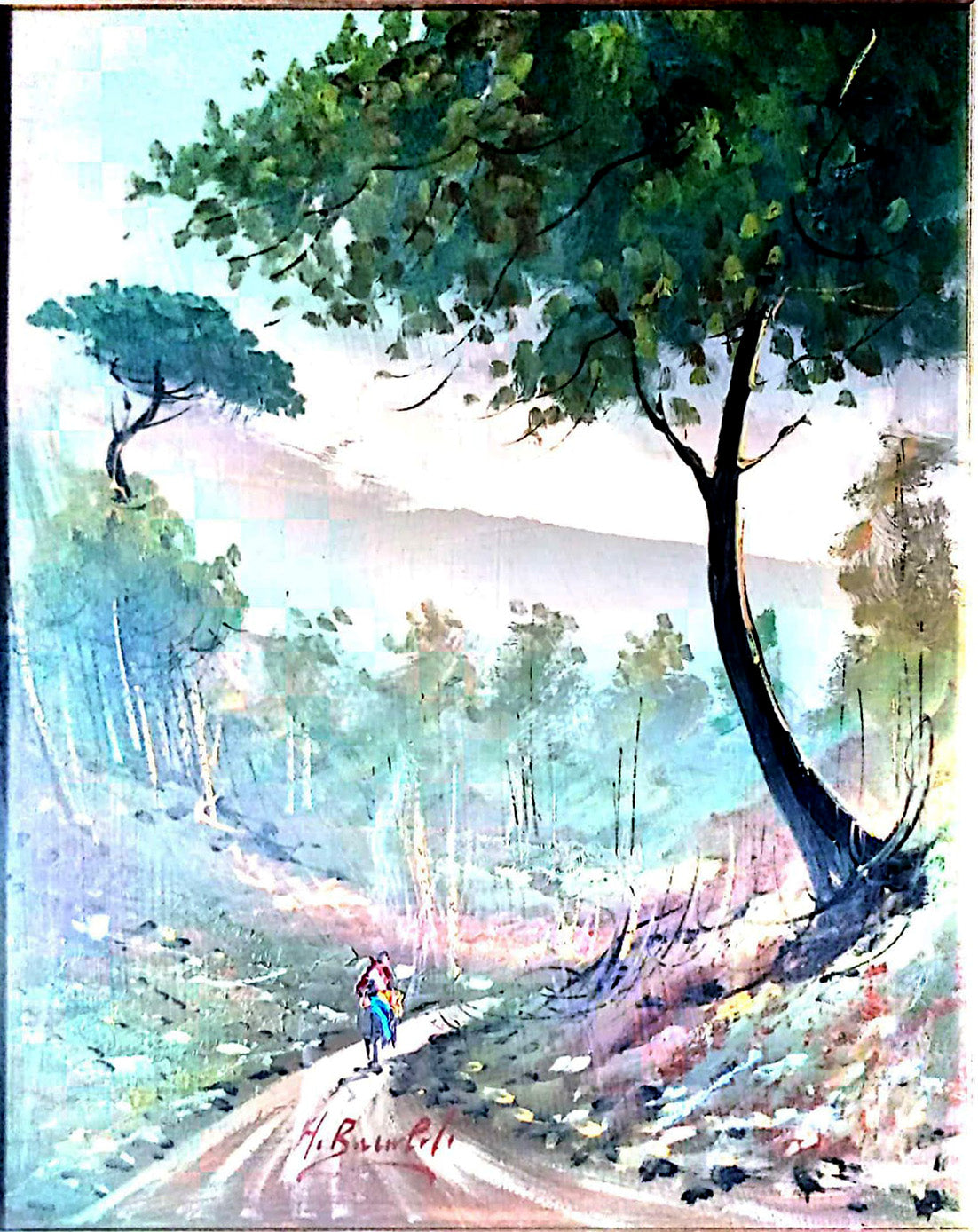 A. Baraldi - Hacia casa