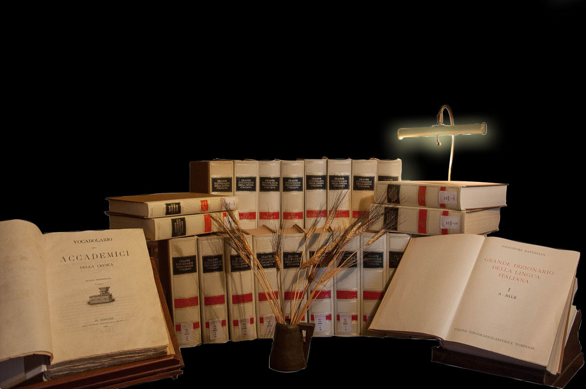 Grande Dizionario della Lingua Italiana Salvatore Battaglia - Utet (24 Volumi)