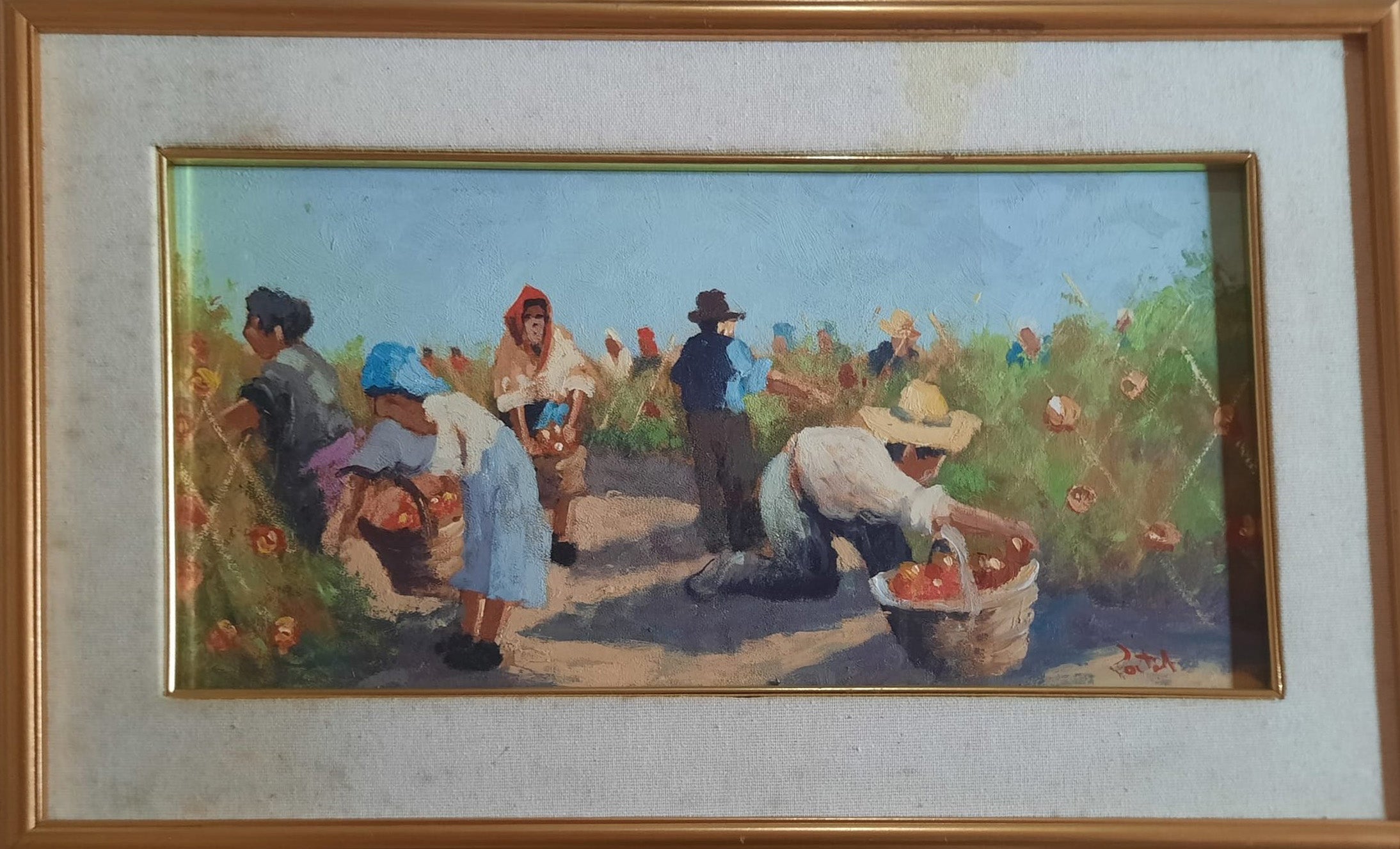 Ennio Tortoli - Raccolta di pomodori