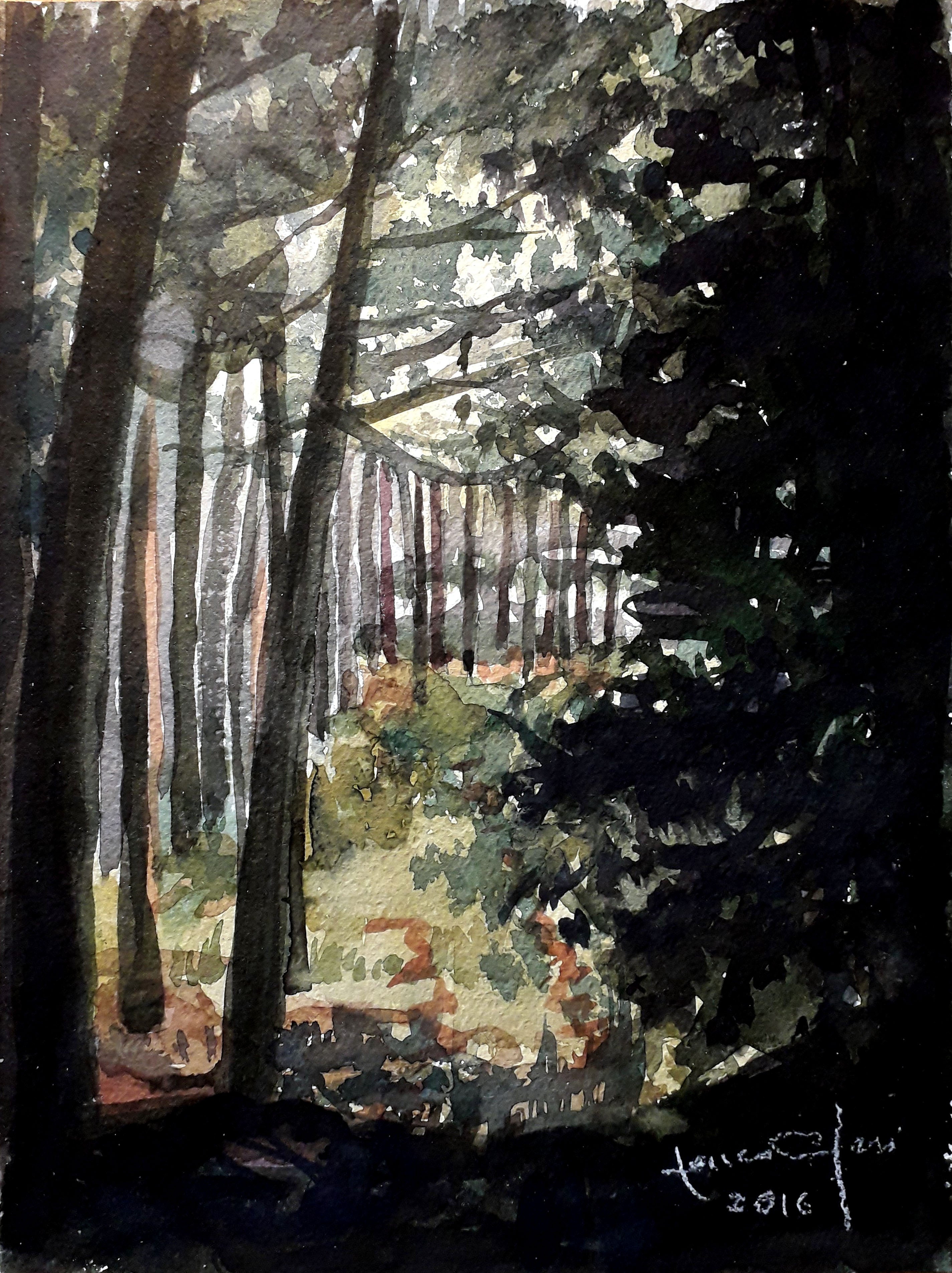 Franco Neri - Bosco su Po