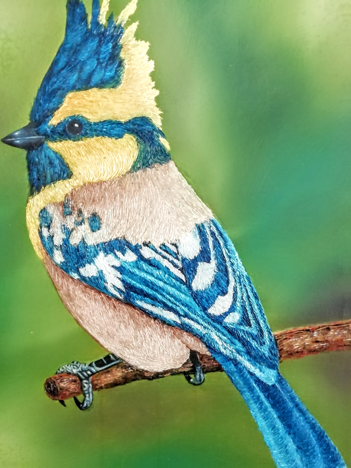 Álvaro Alberto Riaño Lozano - Naturaleza