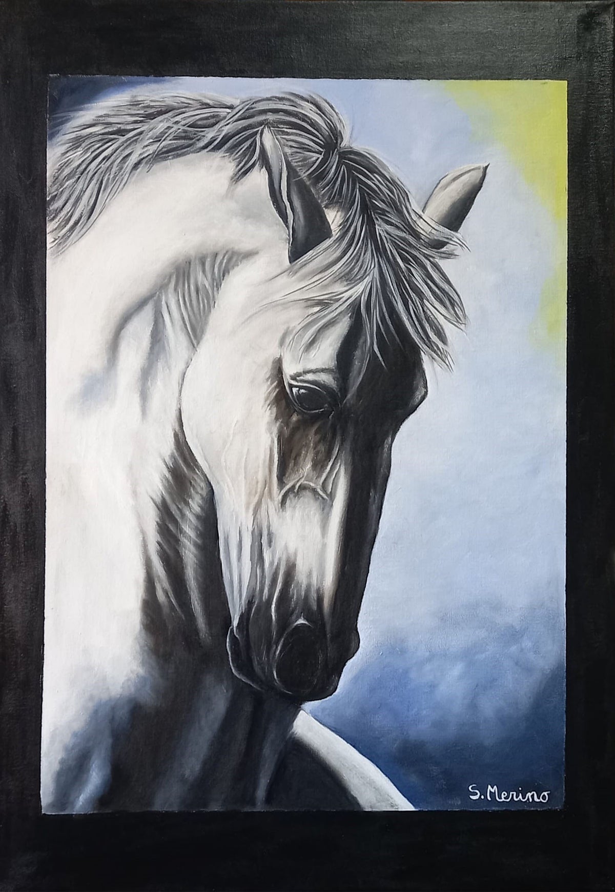 Maria del Socorro Merino García - Caballo salvaje