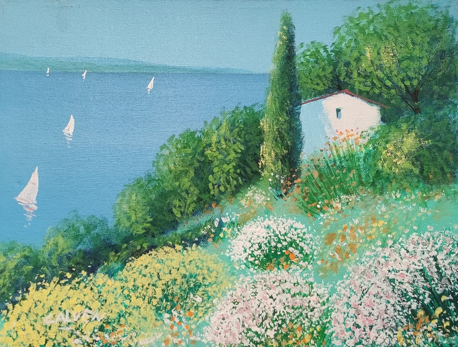 PAESAGGIO -FELI CALVEN