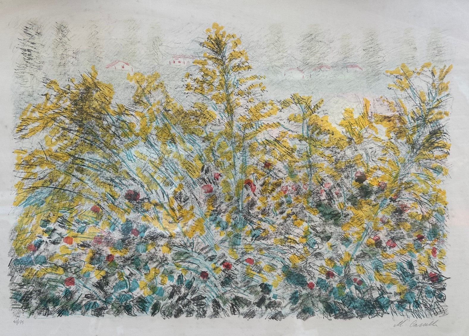 MIMOSE - MICHELE CASCELLA