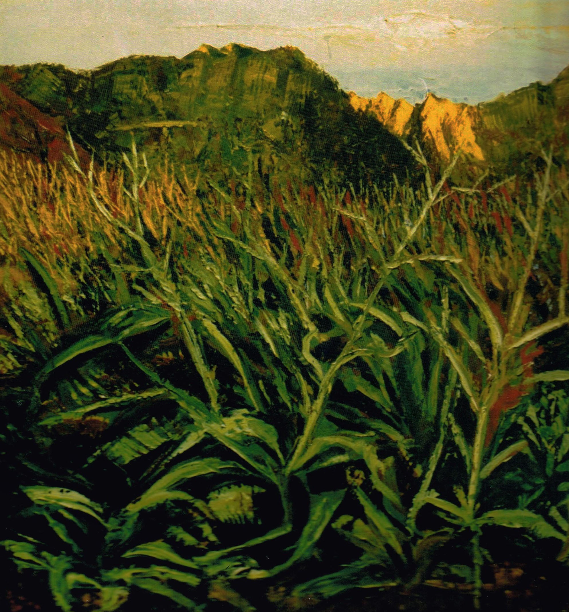 Gilberto Carpo - Cespuglio 1