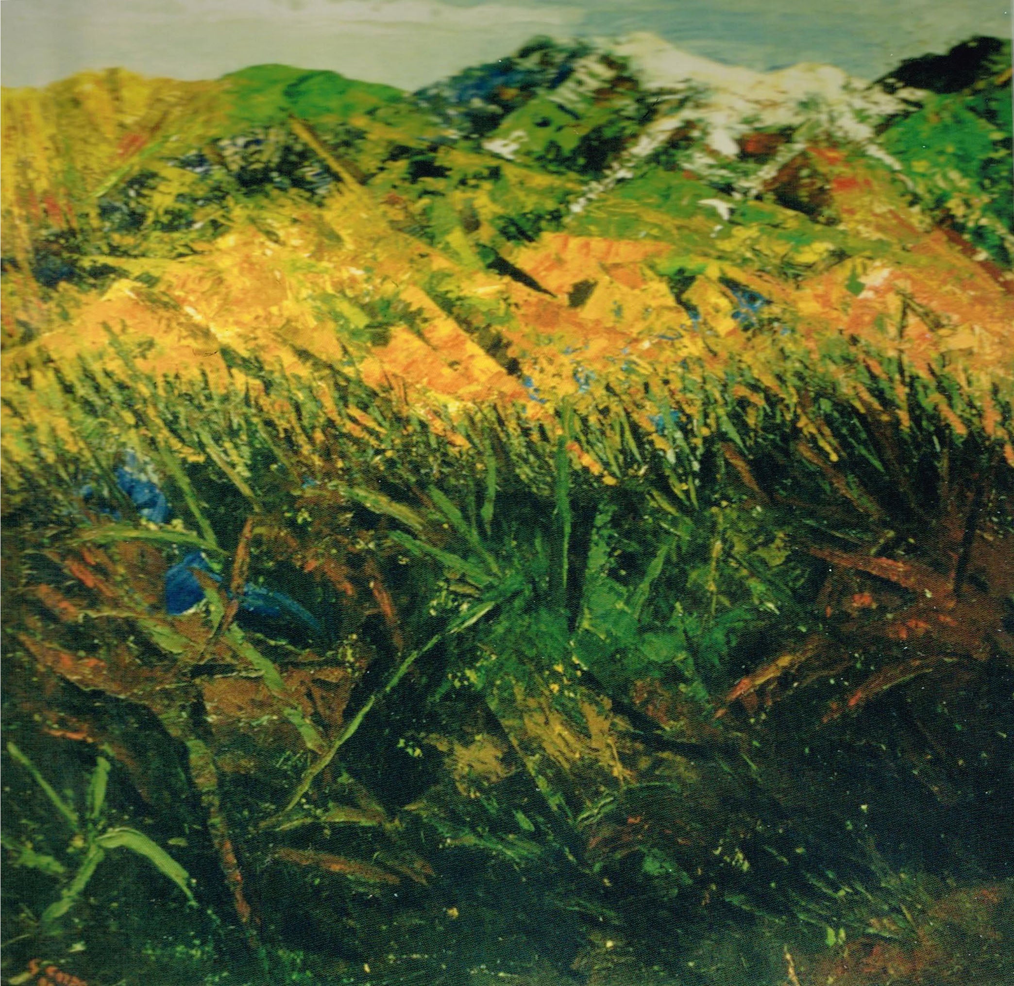 Gilberto Carpo - Cespuglio 2
