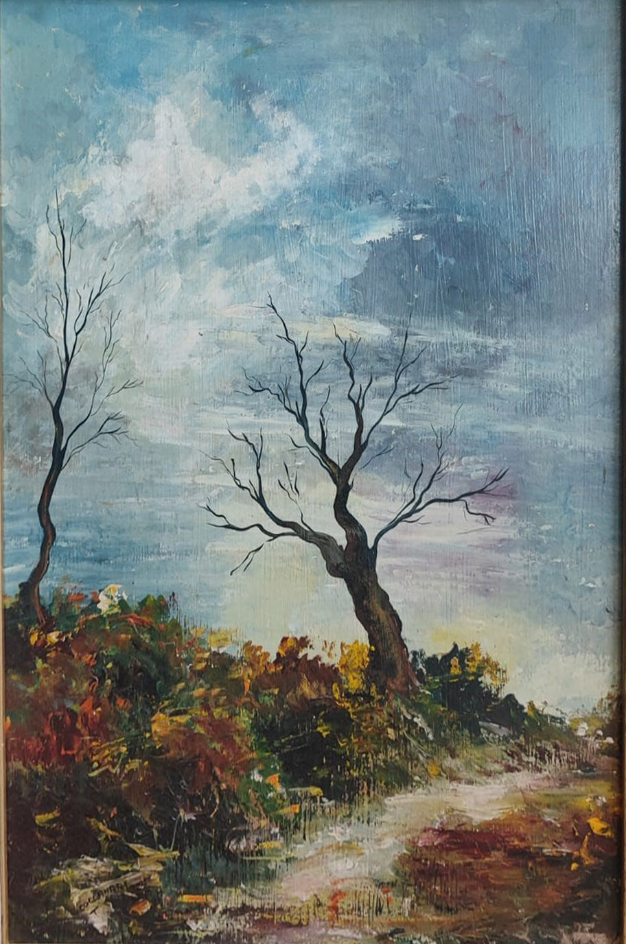 Cocconari - Paesaggio