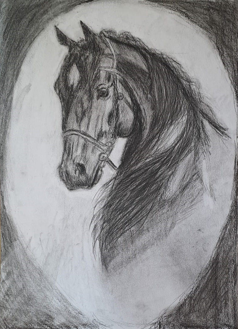 Andres Ferrer - Caballo 3