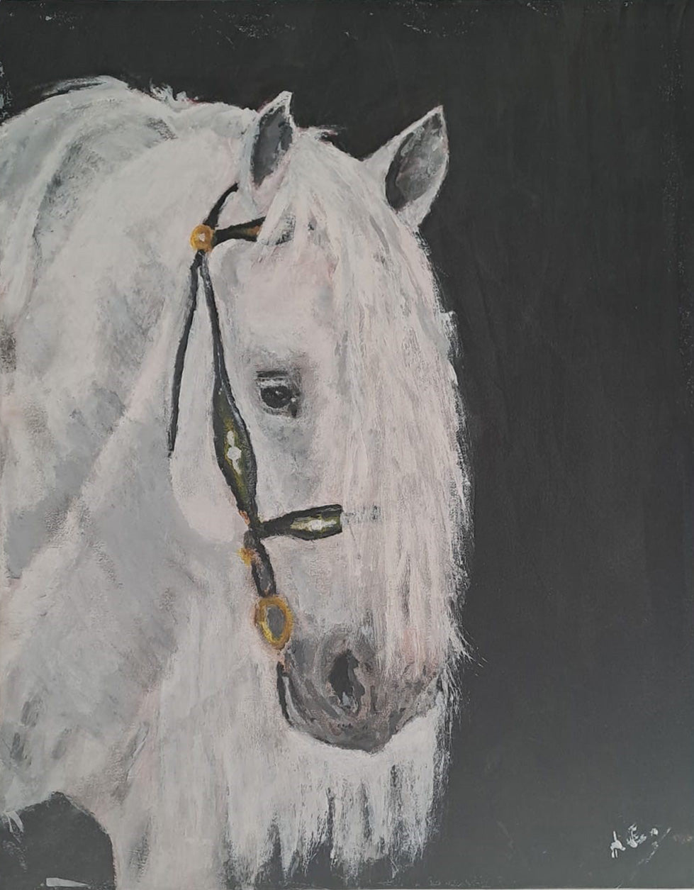 Andres Ferrer - Caballo 4