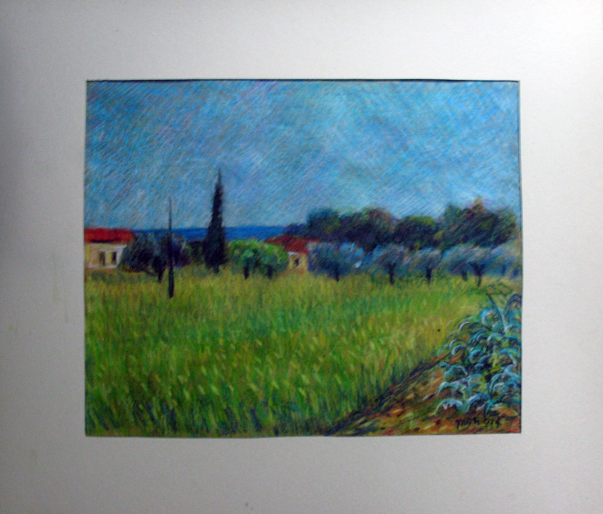 Sandro Mori - Campo d'orzo