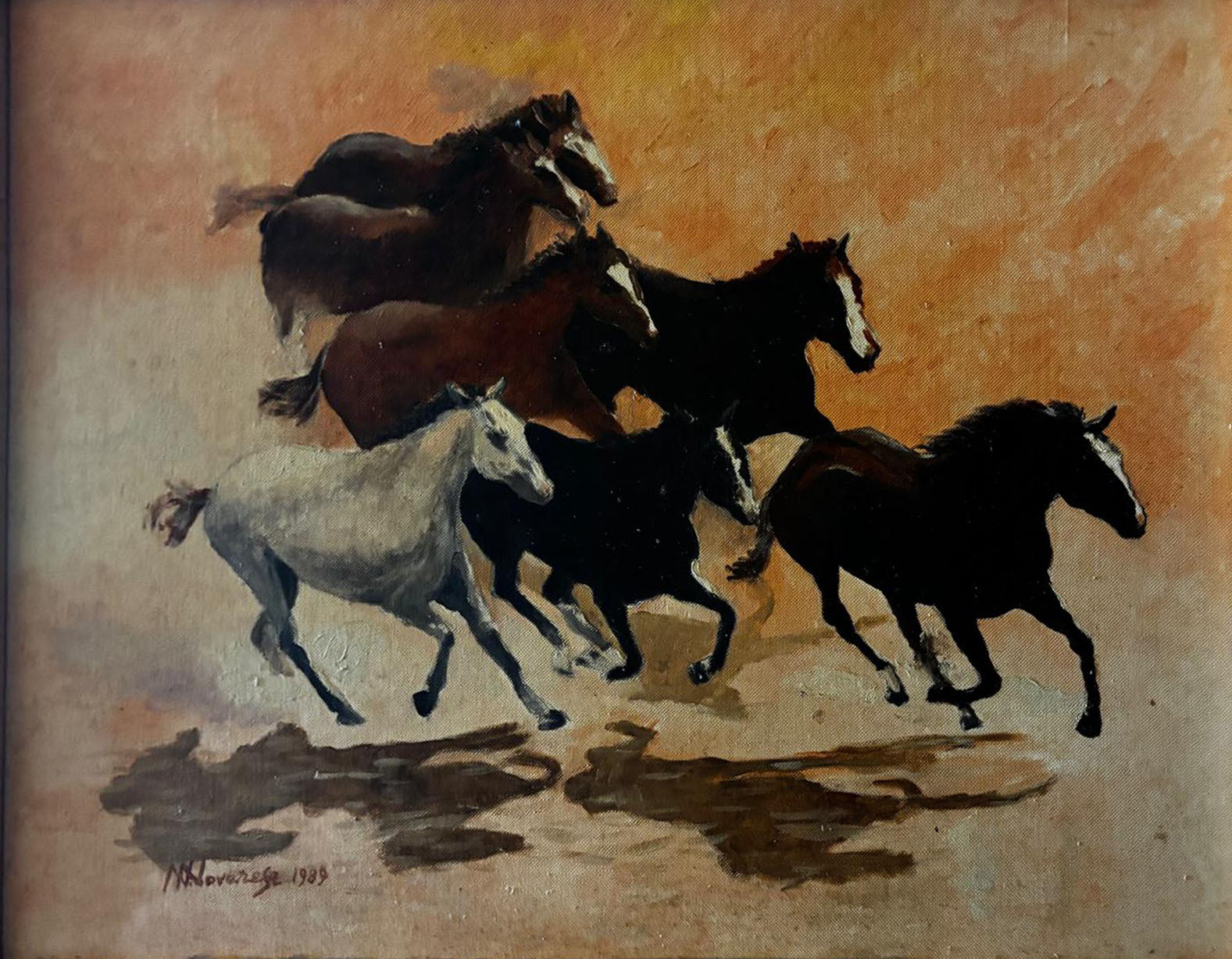 N. Novarese - Senza titolo (cavalli)