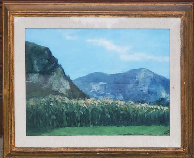 Alberto Ziveri - Cornfield