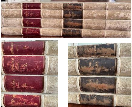 Roman Antiquities - Giambattista Piranesi/Firmin Didot Brothers Libraj (4 volumes)