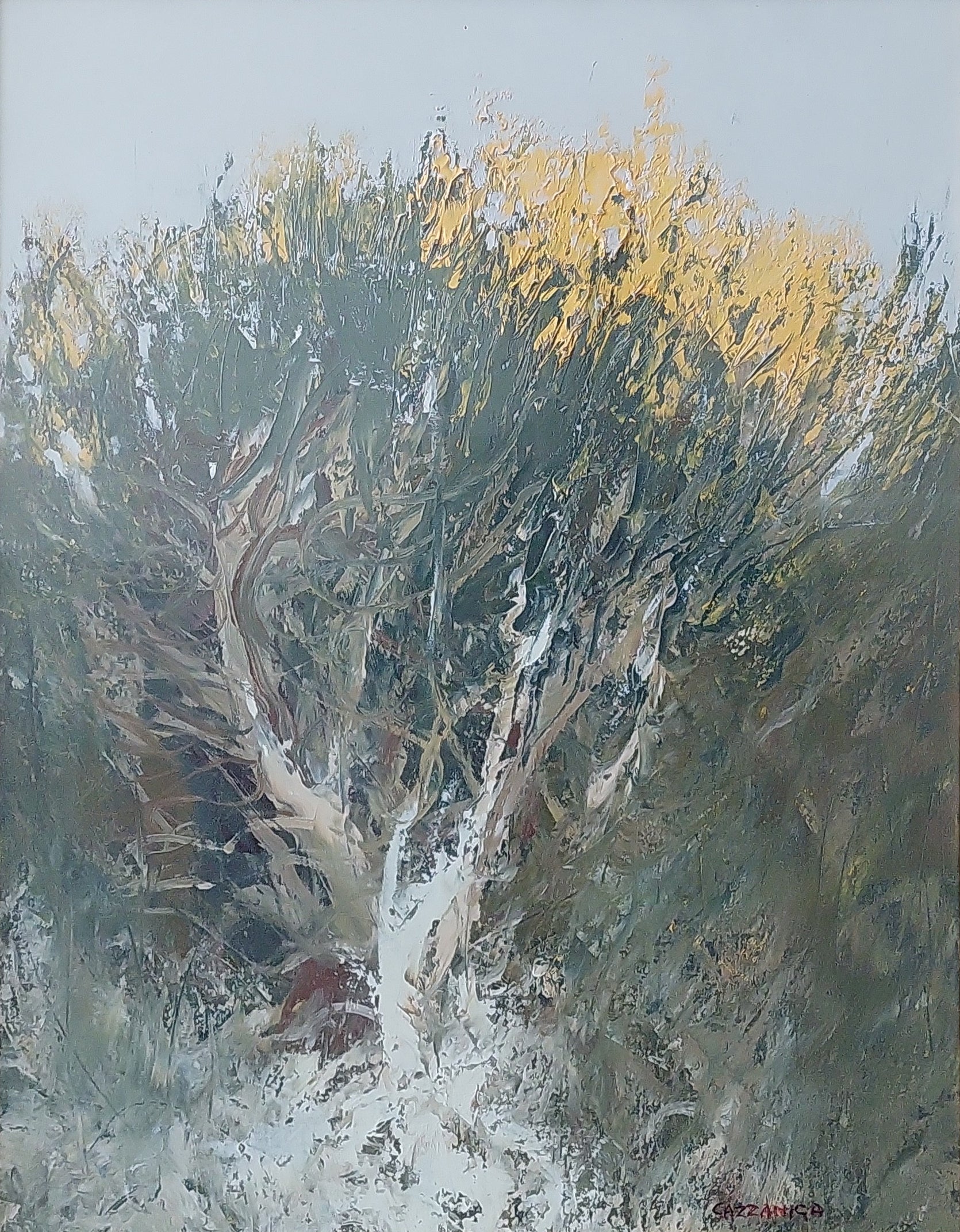 Giancarlo Cazzaniga - Escoba