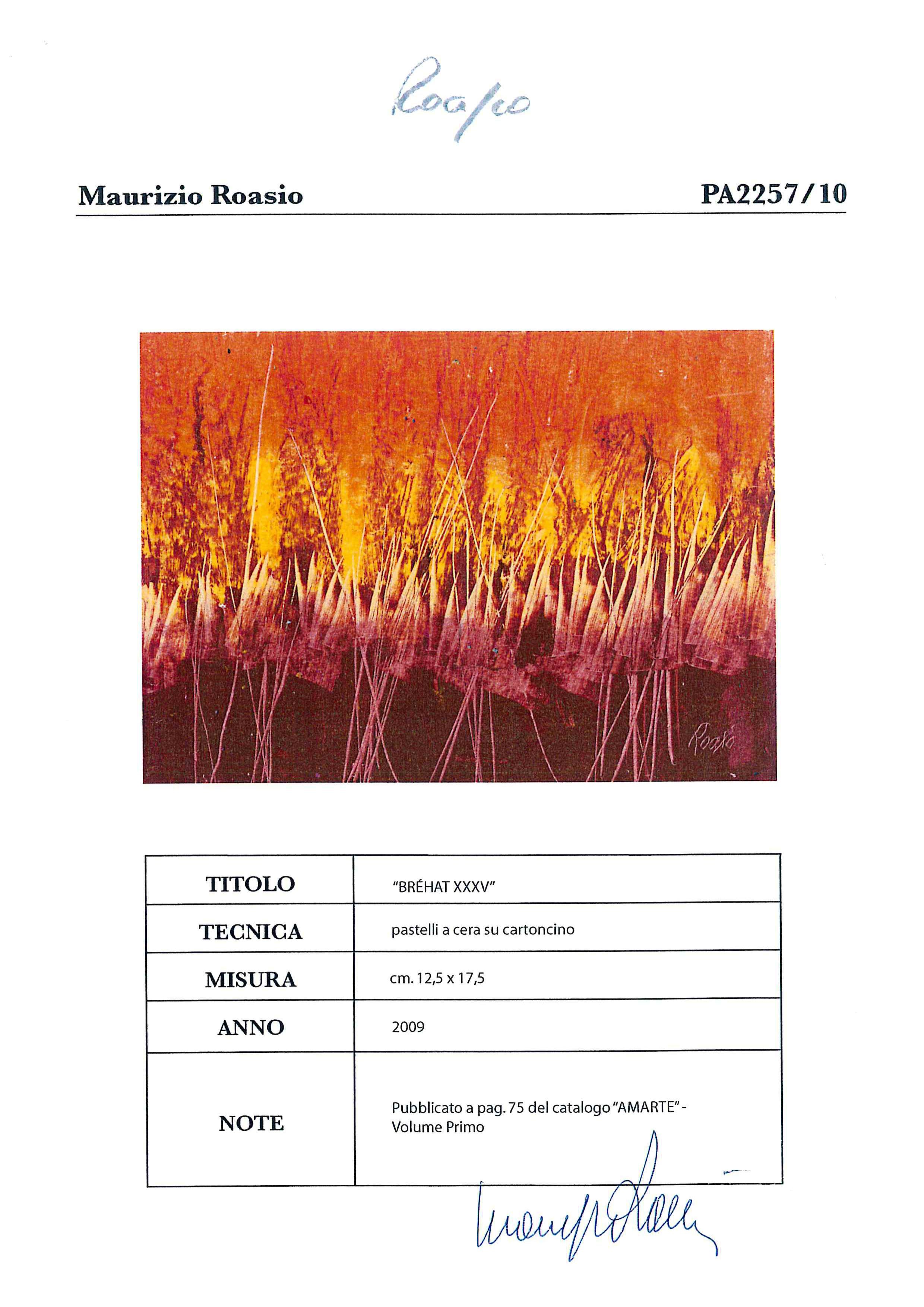 Maurizio Roasio - BREHAT XXXV