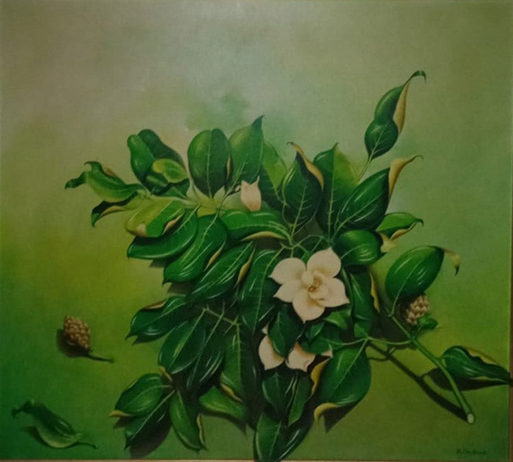 Dario Modena - Magnolia Branch