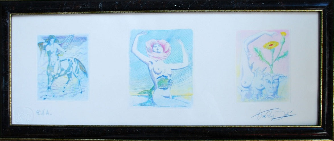 Van Roy Dalì - Prova d'autore