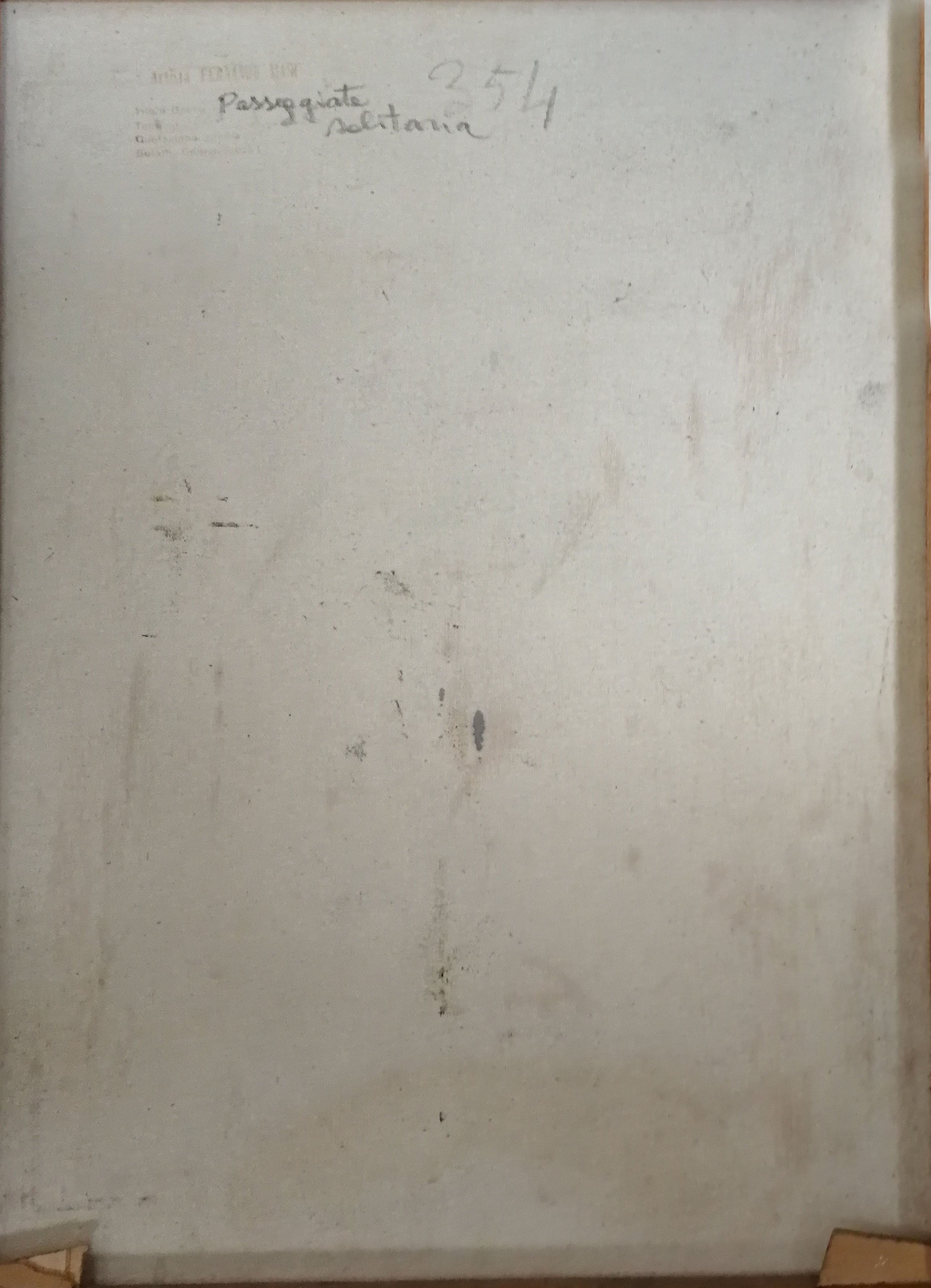 Fernando Masi - Passeggiata solitaria