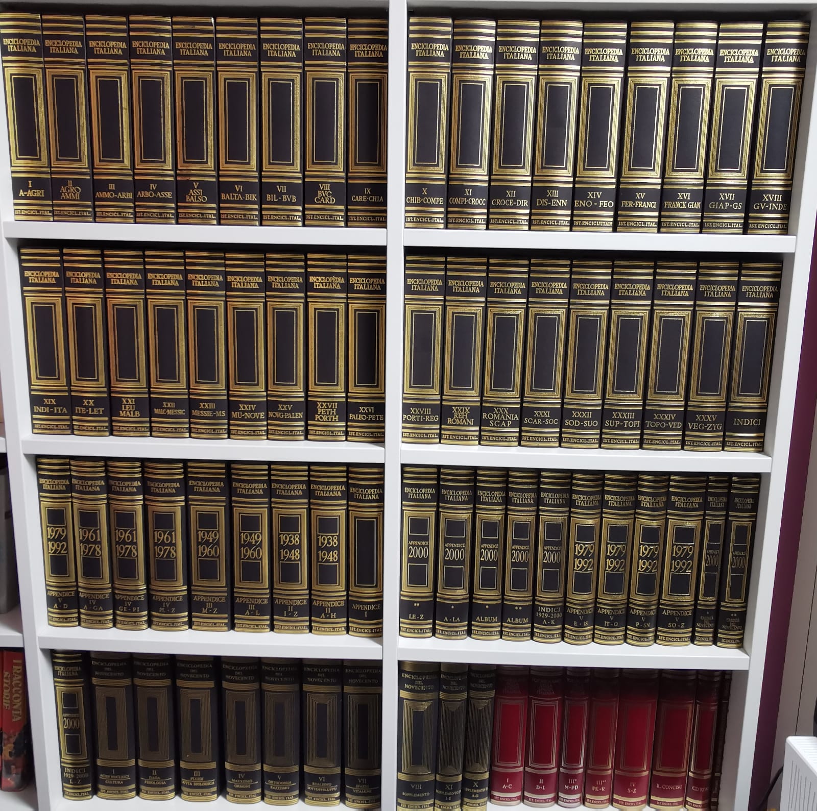 Enciclopedia Italiana, Enciclopedia del Novecento, Vocabolario - Treccani