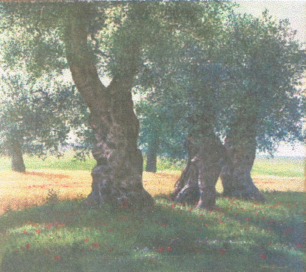 Tommaso Fiermonte - Paisaje de Apulia