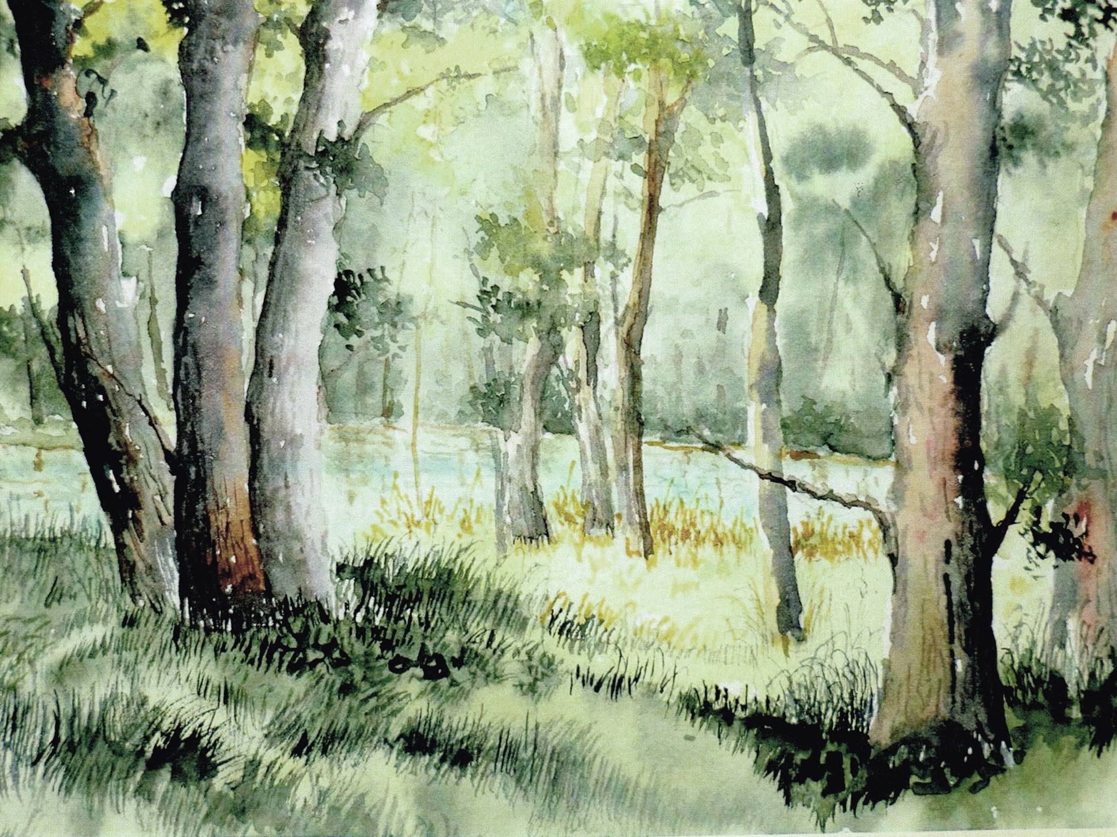 Claudio Pattarin - Fondosavena