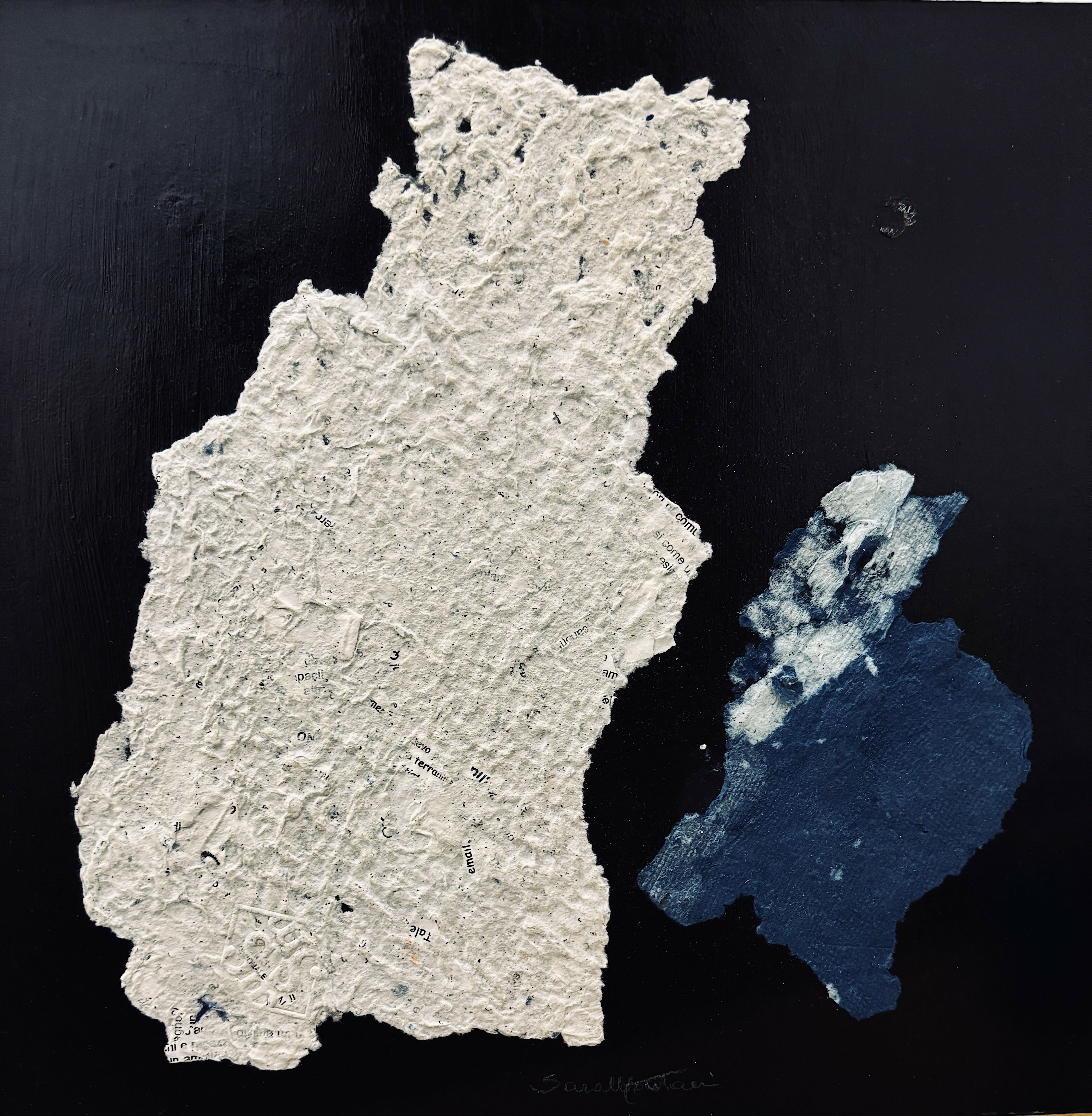 Star fossils 