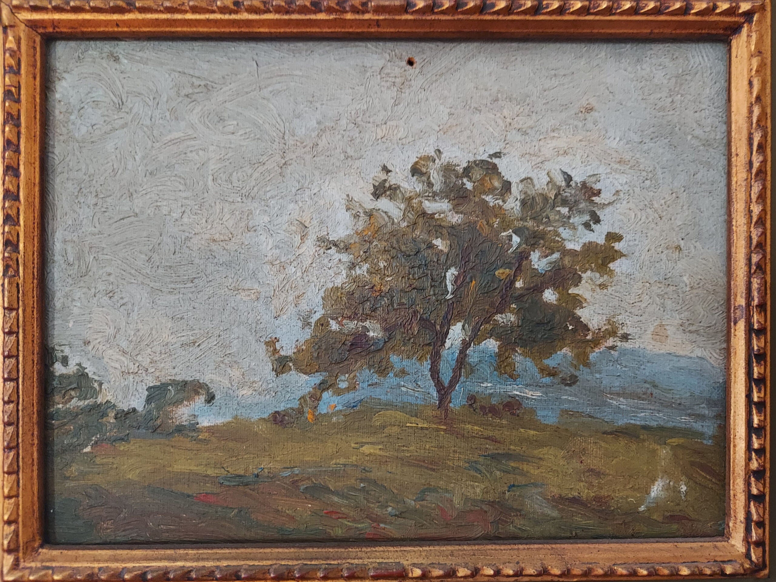 Giambattista Riva -  Solto, Lago d'Iseo