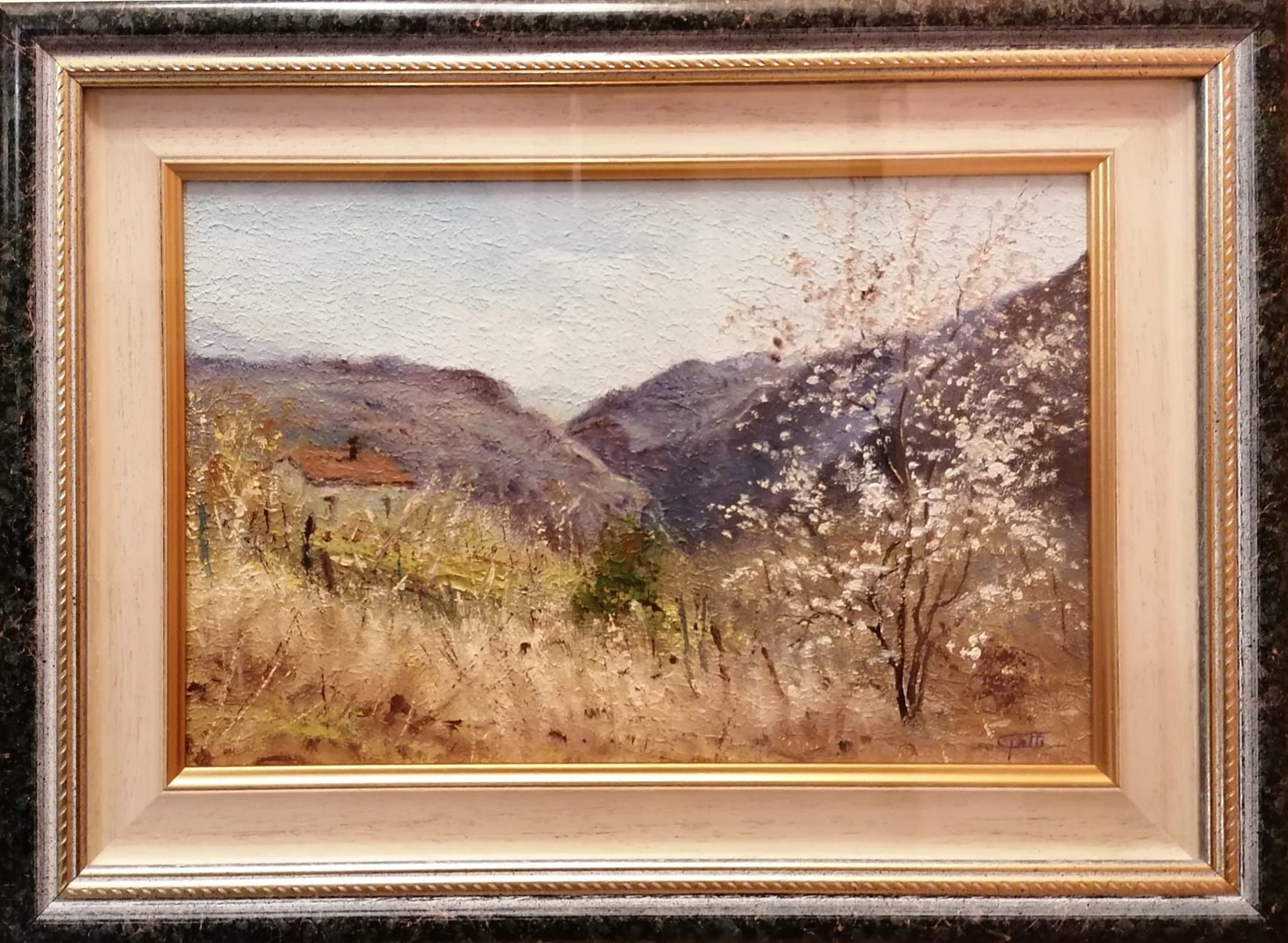 Giovanni Gatti - Fioritura in Val Susa
